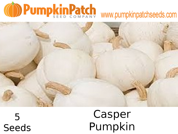 Casper Pumpkin Seeds