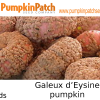 Galeux d’Esine Pumpkin Seeds