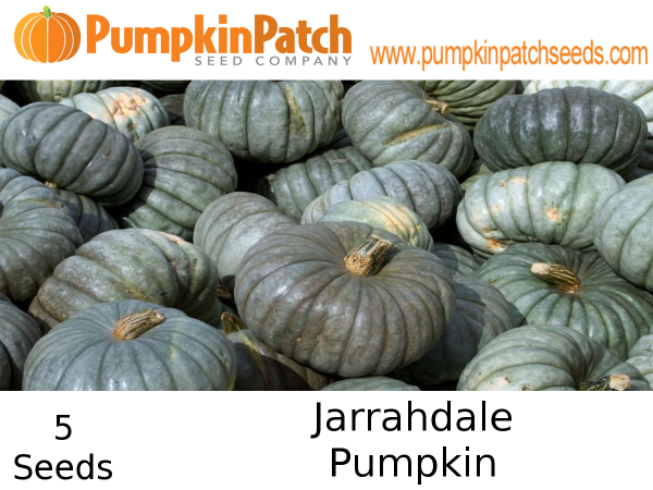 Jarrahdale Pumpkin Seeds