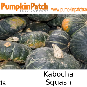 Kabocha Squash Seeds