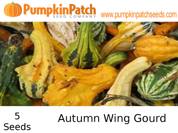Autumn Wing Gourd Seeds