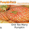 One Too Many Pumpkin Seeds