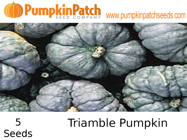 Triamble Pumpkin Seeds