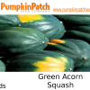 Green Acorn squash seeds
